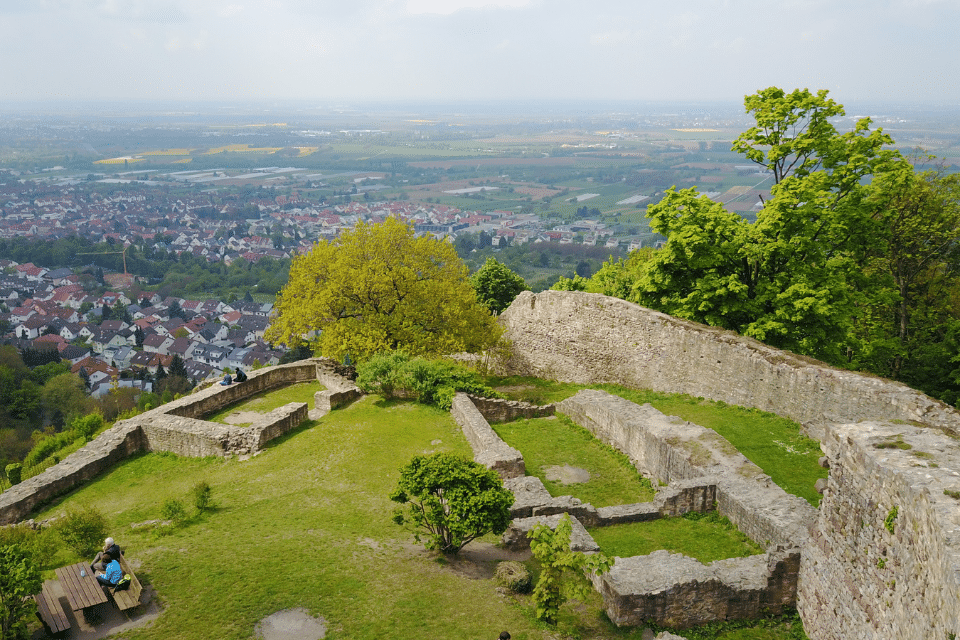 Ihre Pergola vom Fachbetrieb Markisen Dittmar in Dossenheim.